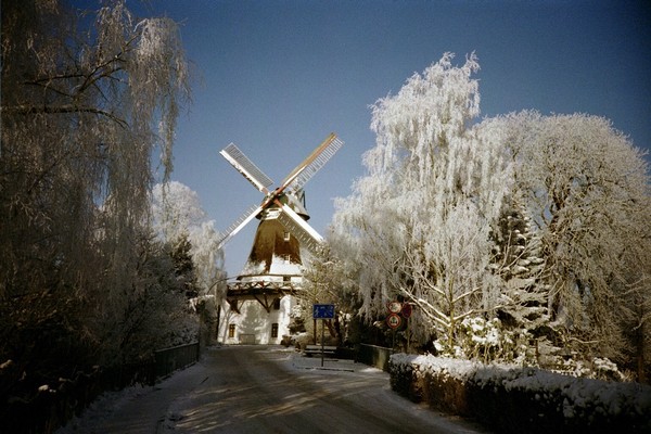 Windmühle Johanna im Winter