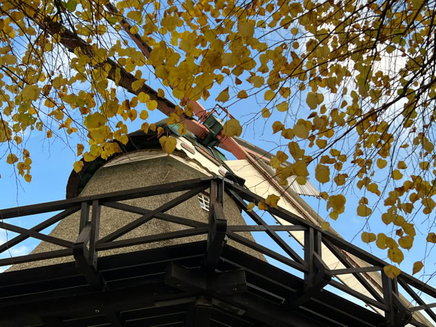 In der Weihnachtsbäckerei … das große Backen für Kinder An einem großen Arbeitstisch auf dem ersten Boden der Mühle werden die kunterbunten Weihnachtsplätzchen von den Kindern zubereitet, die natürlich auch mit nach Hause genommen werden können.